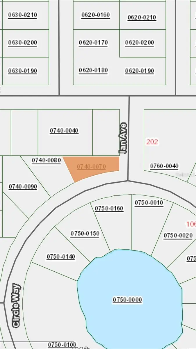 Denise Street, Interlachen, FL 32148 - #3