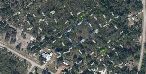 1211 Clinton Street, LAKE PLACID, FL 33852