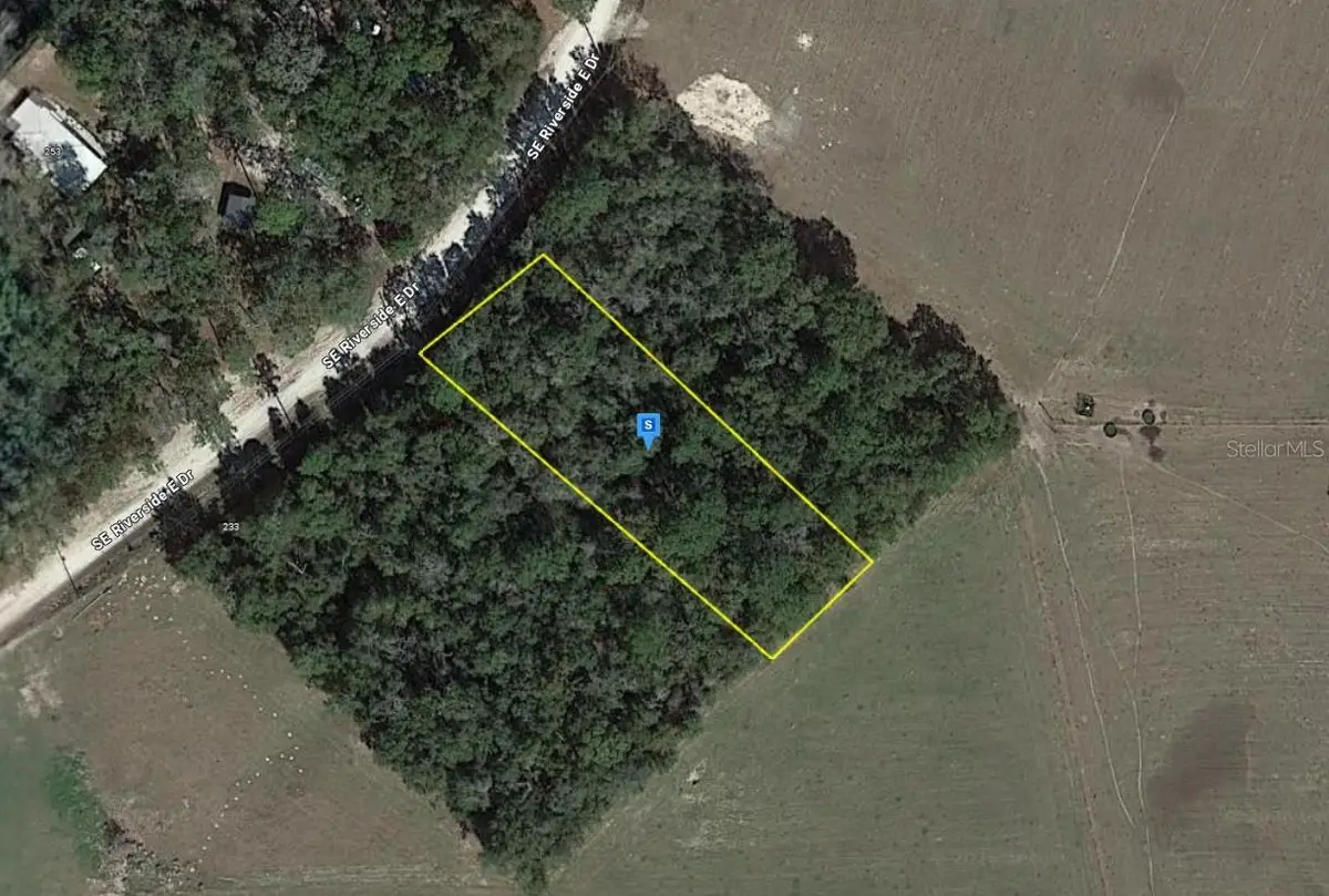 263 Se Riverside East Drive, Branford, FL 32008 - #1
