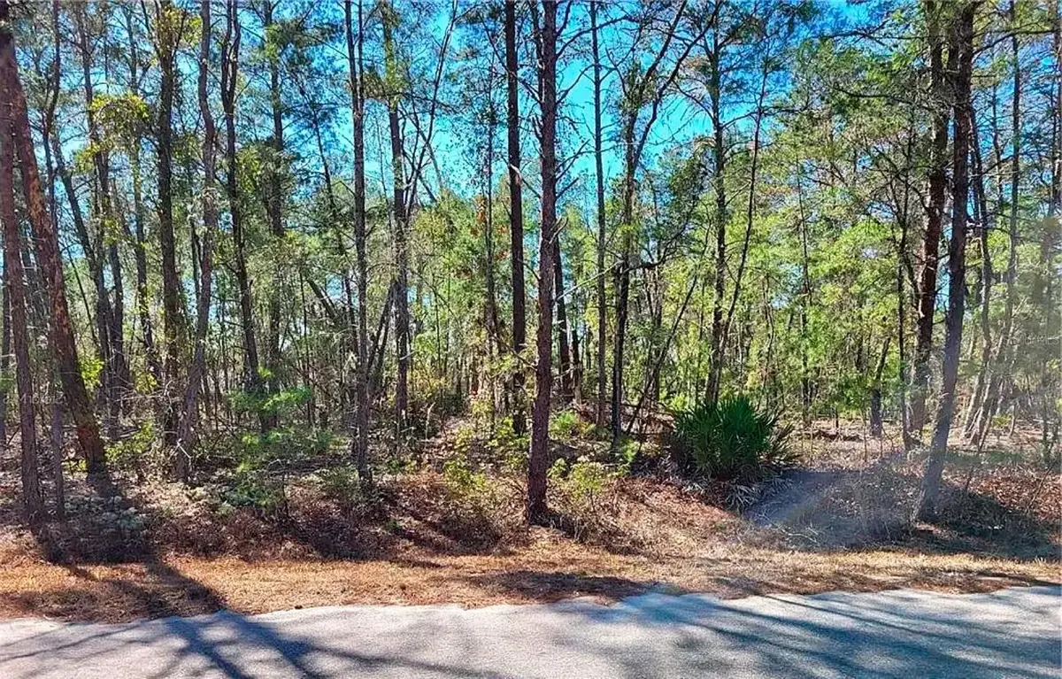 76 Fisher Run Terrace, Ocklawaha, FL 32179 - #1