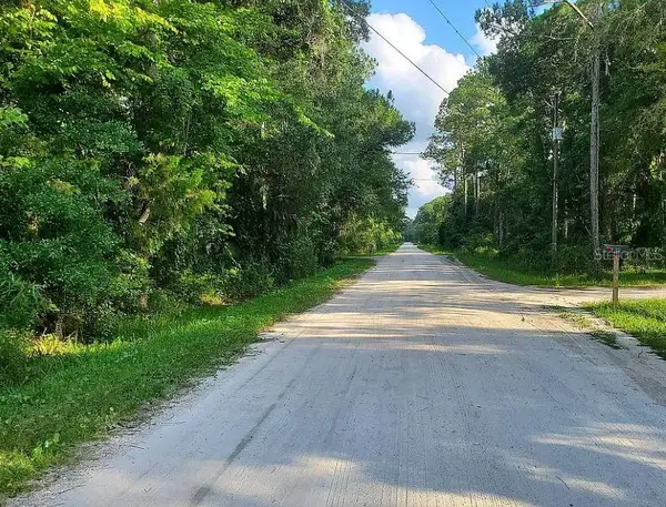 1763 Sherwood Street, BUNNELL, FL 32110