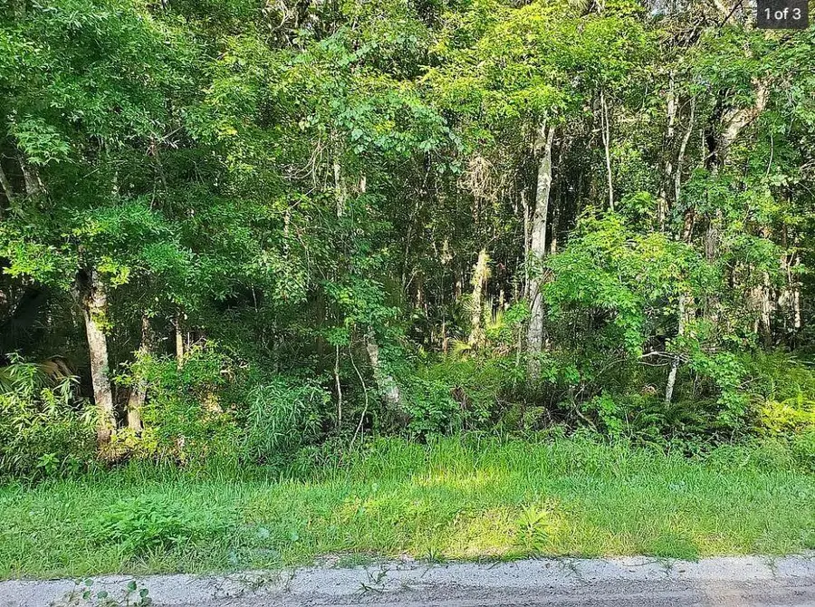 1763 Sherwood Street, Bunnell, FL 32110 - #3