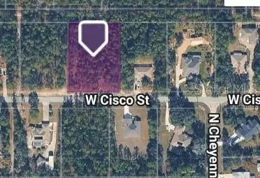 5593 W Cisco Street, Beverly Hills, FL 34465 - #1
