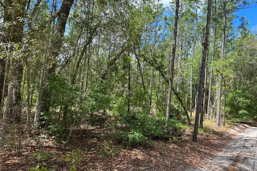 0000 Lady Bug Lane, Melrose, FL 32666 - #2