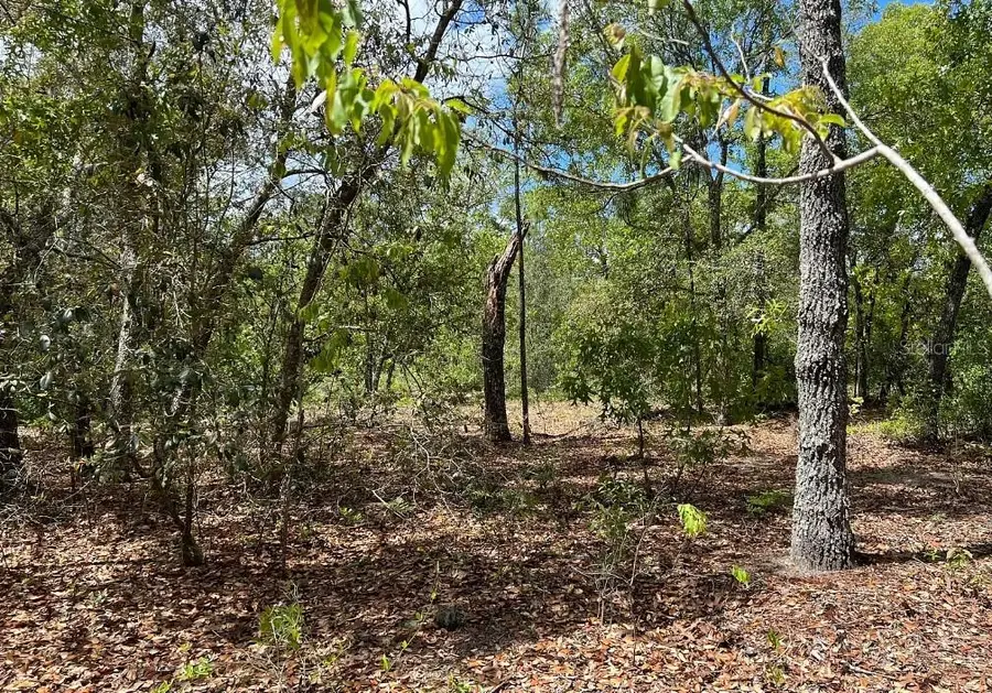 0000 Lady Bug Lane, Melrose, FL 32666 - #3