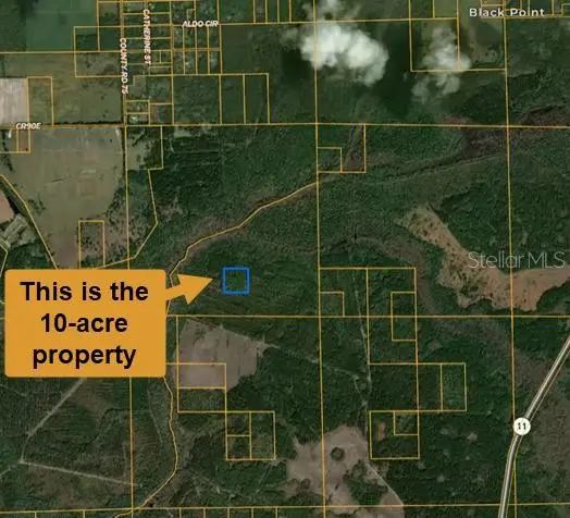 E County Road 90, Bunnell, FL 32110 - #3