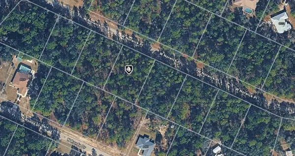 3690 W Norwick Place, DUNNELLON, FL 34433