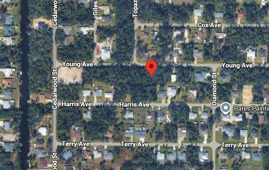 17359 Young Avenue, Port Charlotte, FL 33948 - #1