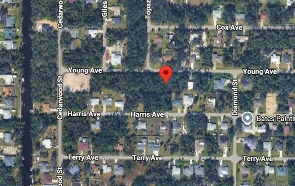 17359 Young Avenue, PORT CHARLOTTE, FL 33948