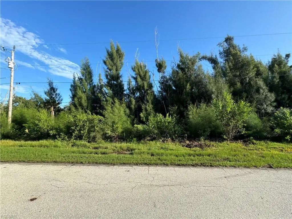 3486 Papaya Street, Saint James City, FL 33956 - #1