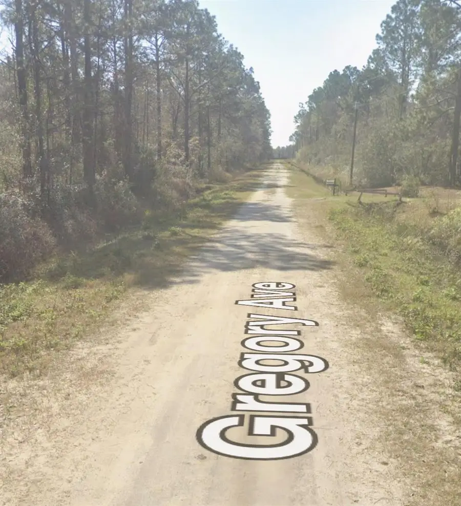 10620 Gregory Avenue, Hastings, FL 32145 - #2