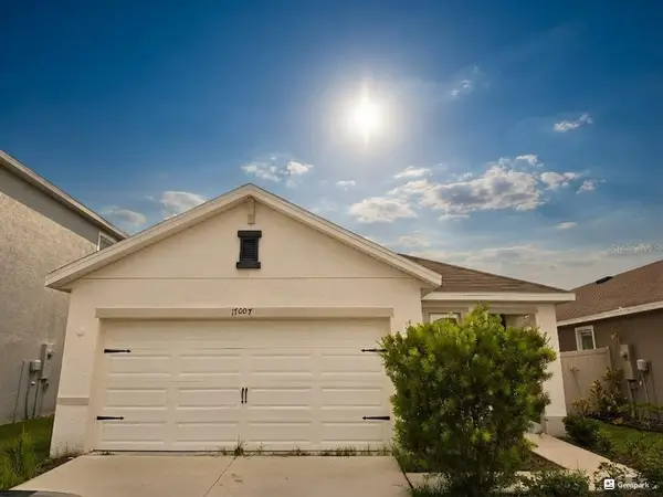 17007 Blister Wing Drive, WIMAUMA, FL 33598