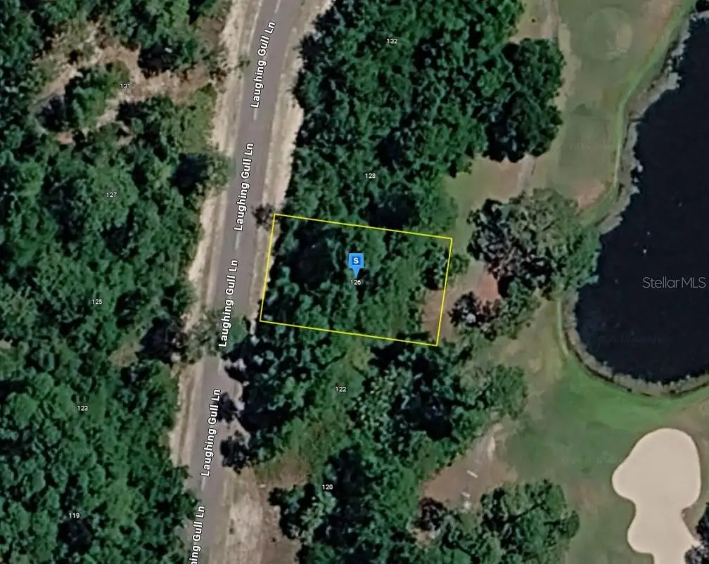 126 Laughing Gull Lane, Carrabelle, FL 32322 - #1
