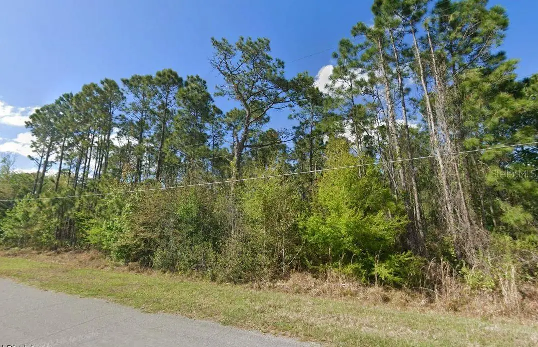 20607 Newby Street, Orlando, FL 32833 - #1