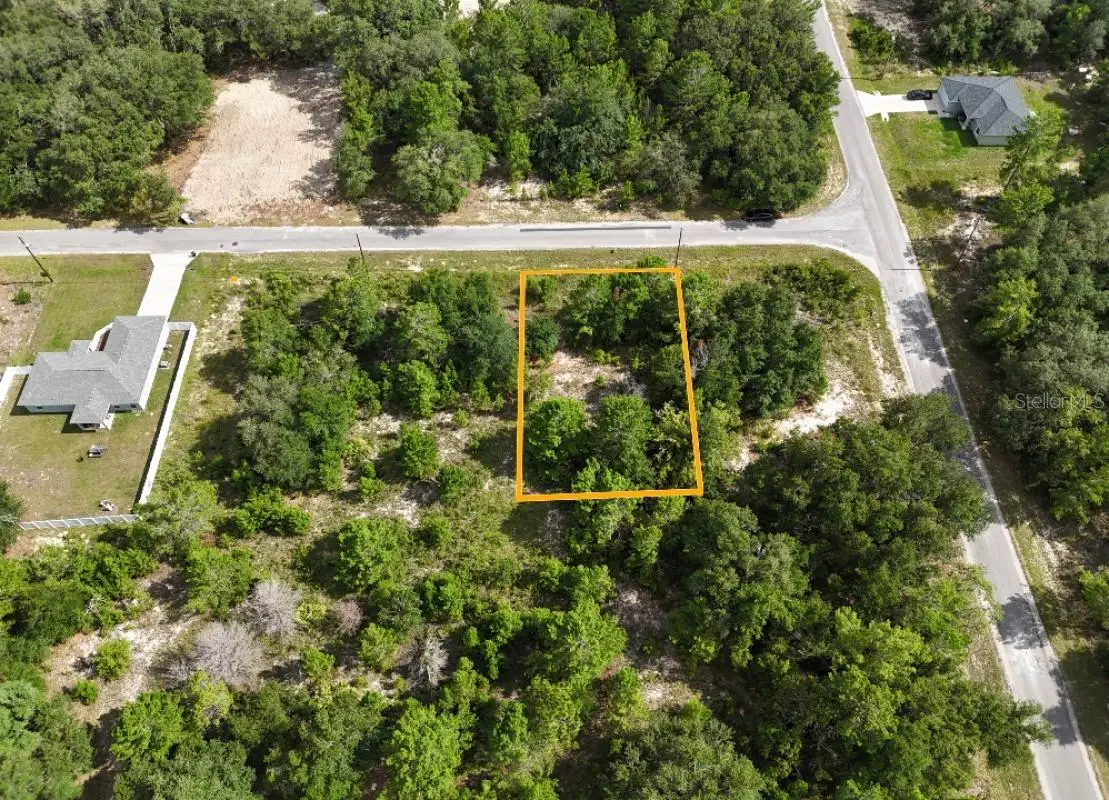 Malauka Radial, Ocklawaha, FL 32179 - #1
