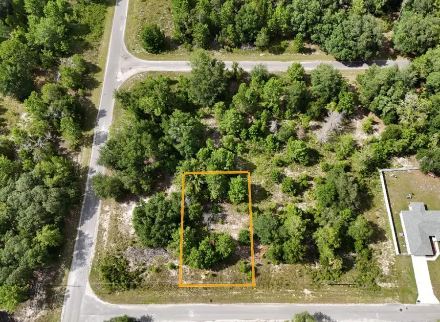 Malauka Radial, Ocklawaha, FL 32179 - #2