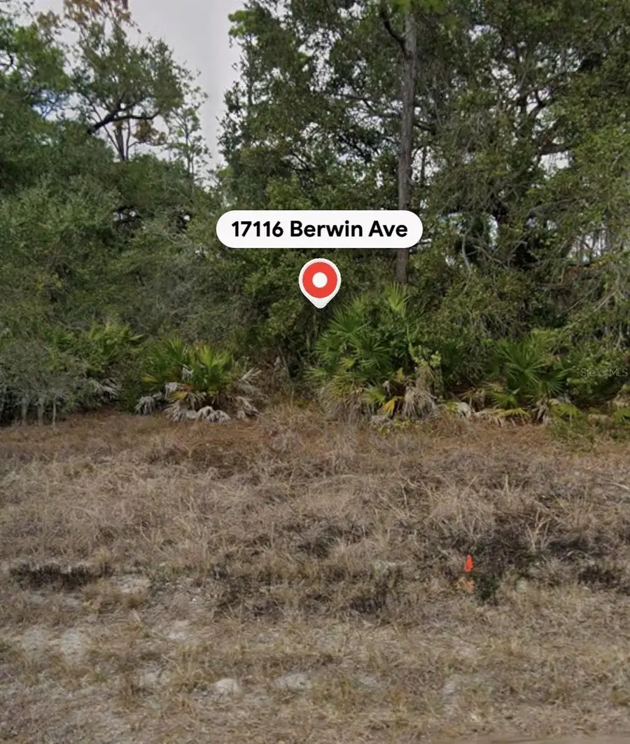 17116 Berwin Avenue, Port Charlotte, FL 33948 - #3