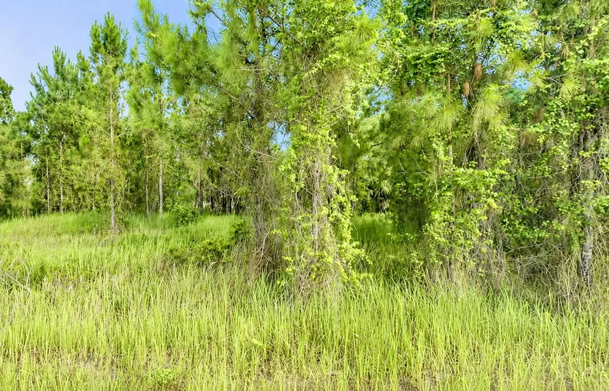 2268 Rolling Road, North Port, FL 34288 - #1