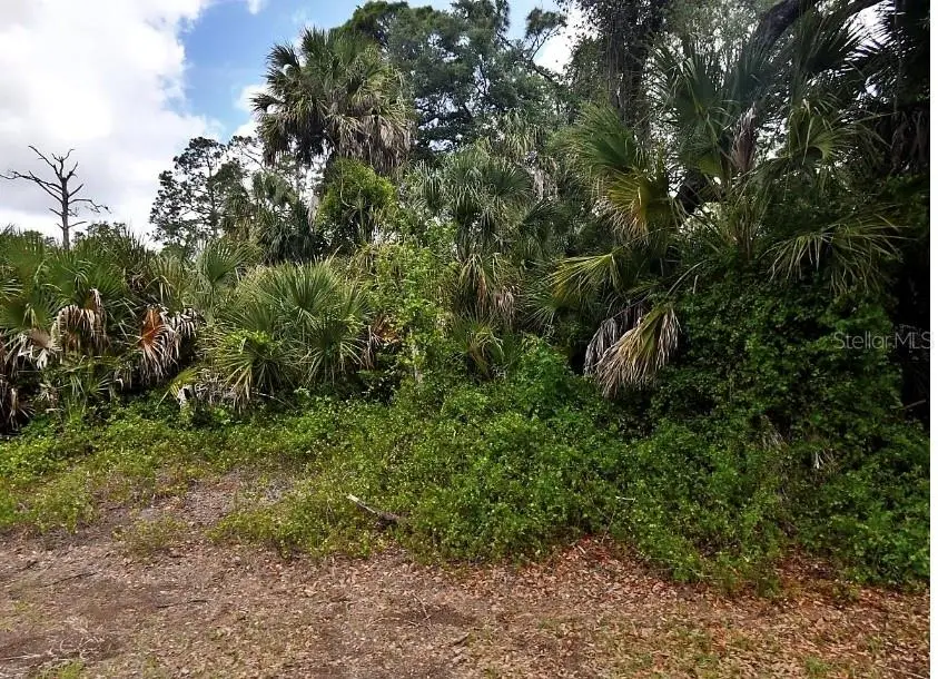 Crandon Rd Road, North Port, FL 34286 - #2