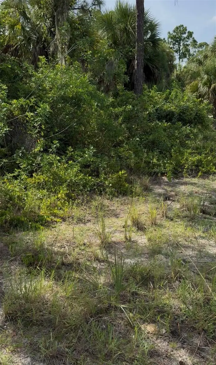 Johannesberg Road, North Port, FL 34288 - #3