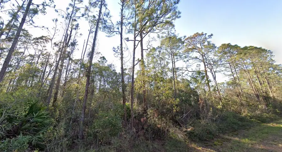 1054 Robin Street, Lake Placid, FL 33852 - #2