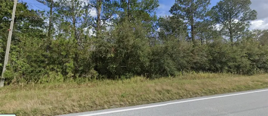 Old Grade Road, Polk City, FL 33868 - #2