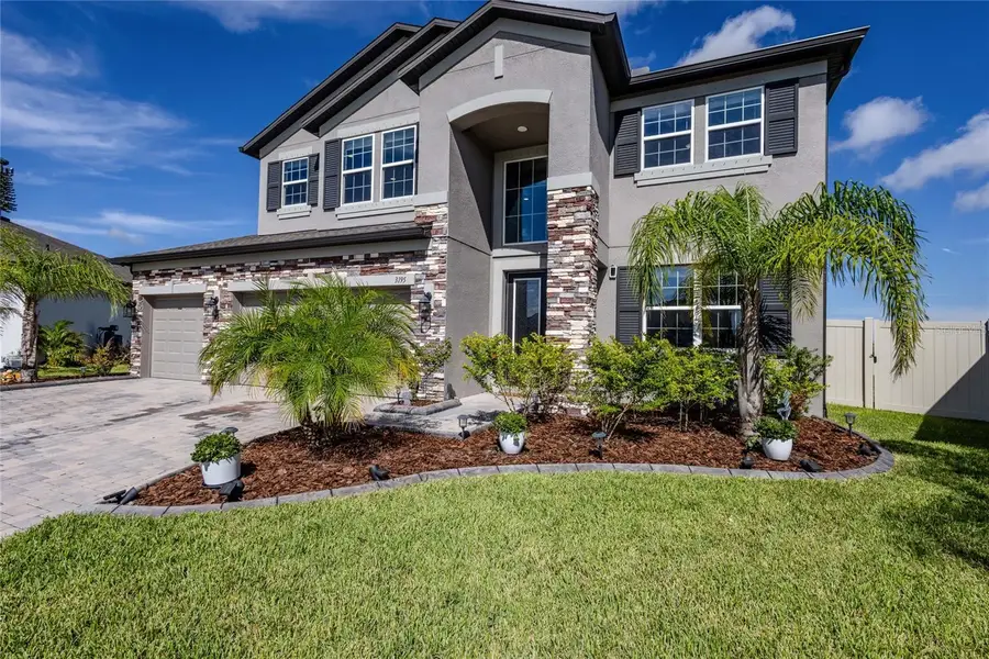 3195 King Fern Drive, Wimauma, FL 33598 - #2