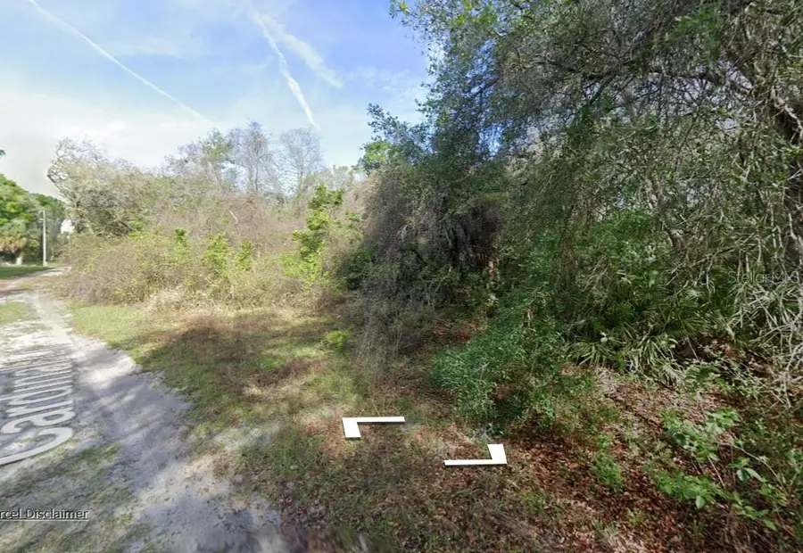 0 NE 437th Ave, Old Town, FL 32680 - #2