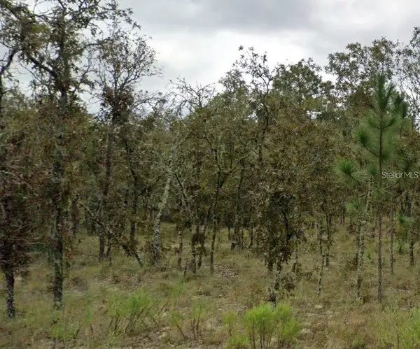 Ne 11th Street, WILLISTON, FL 32696