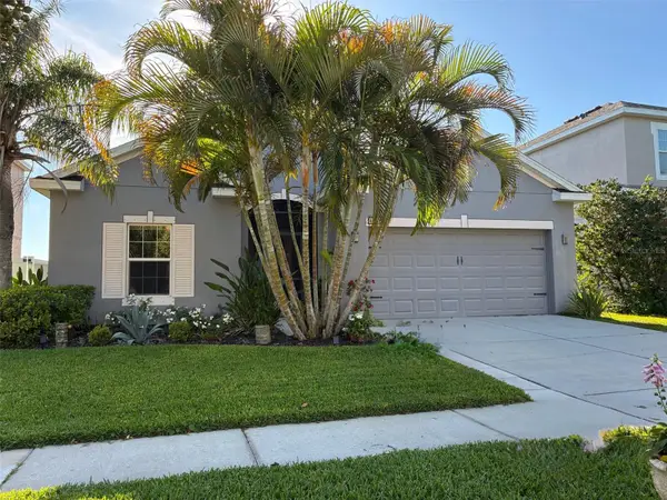 802 Fern Leaf Drive, RUSKIN, FL 33570