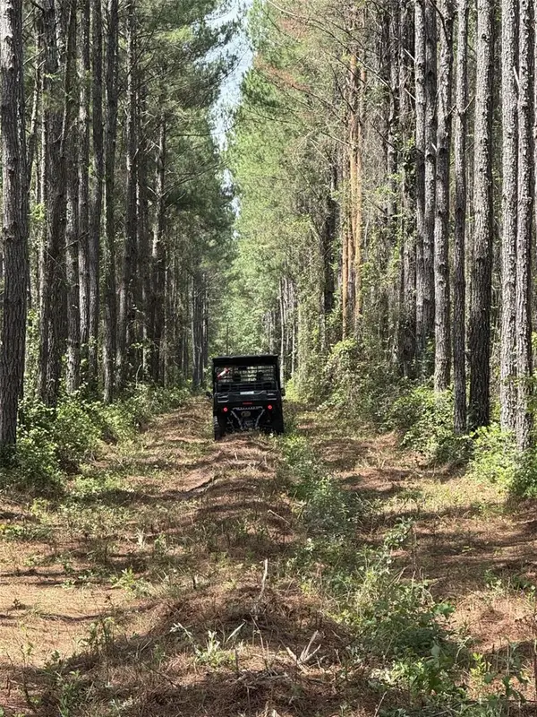 Ne198th Ave, LAKE BUTLER, FL 32054