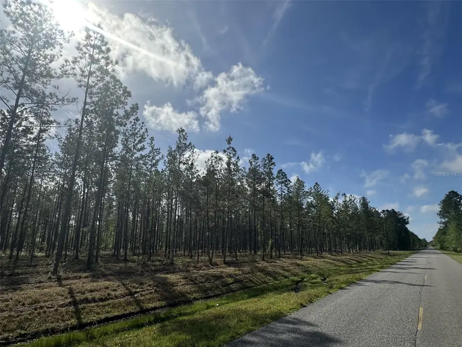 Ne198th Ave, Lake Butler, FL 32054 - #2