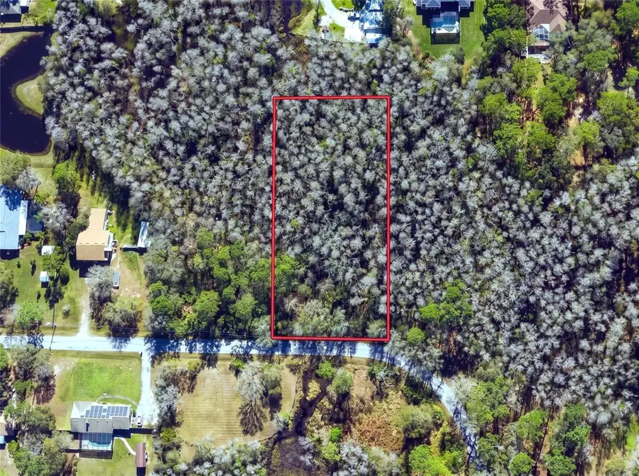 32-26-18-0010-00000-0560 Country Lane, Lutz, FL 33558 - #3
