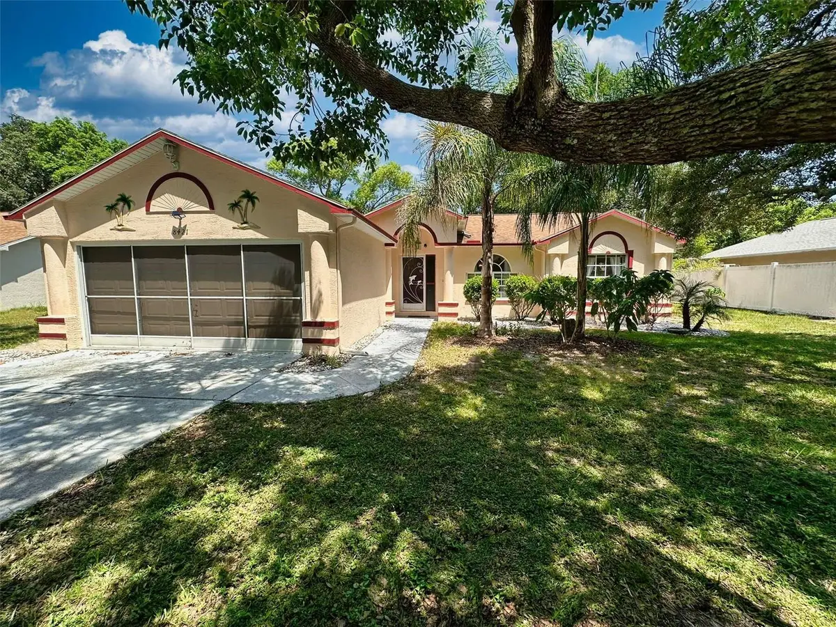 8421 Peoria Street, Spring Hill, FL 34608 - #1