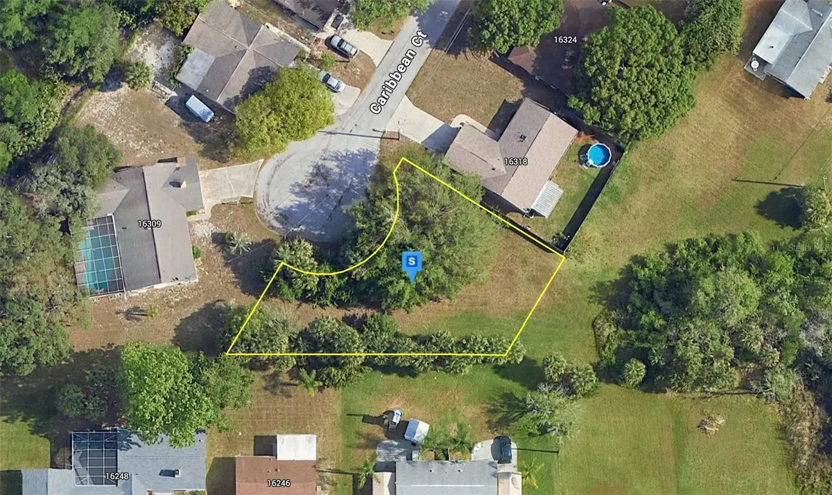16308 Caribbean Court, Hudson, FL 34667 - #1