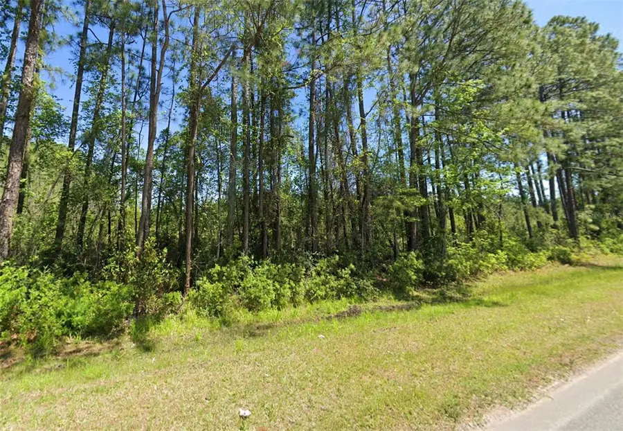 4739 County Road 218 Road, Middleburg, FL 32068 - #2