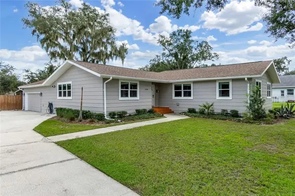 11304 Leprechaun Drive, RIVERVIEW, FL 33569