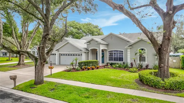 3907 Rolling Terrace Lane, VALRICO, FL 33596
