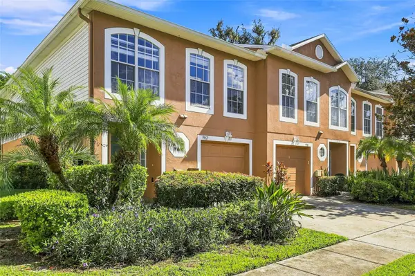 9912 Ashburn Lake Drive, TAMPA, FL 33610