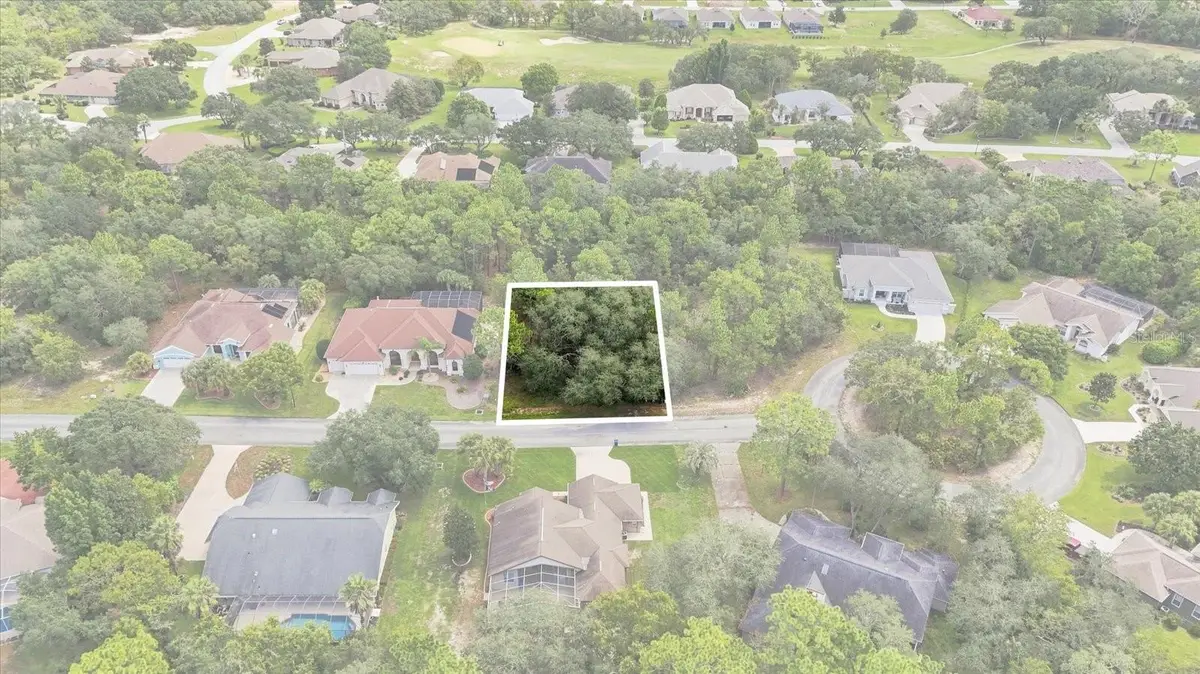 7 Honeysuckle Court S, Homosassa, FL 34446 - #1