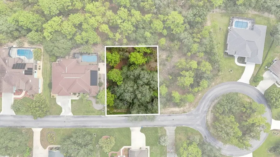 7 Honeysuckle Court S, Homosassa, FL 34446 - #2