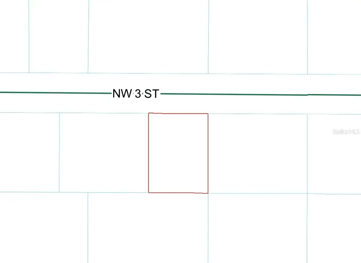 NW 3rd Street, Ocala, FL 34482 - #1