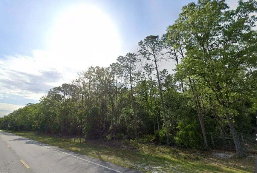 NE Hwy 351, Old Town, FL 32680 - #1