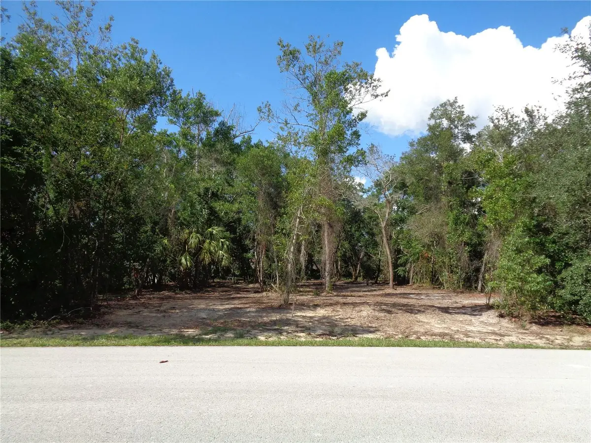 8007 Chaucer Drive, Weeki Wachee, FL 34607 - #1