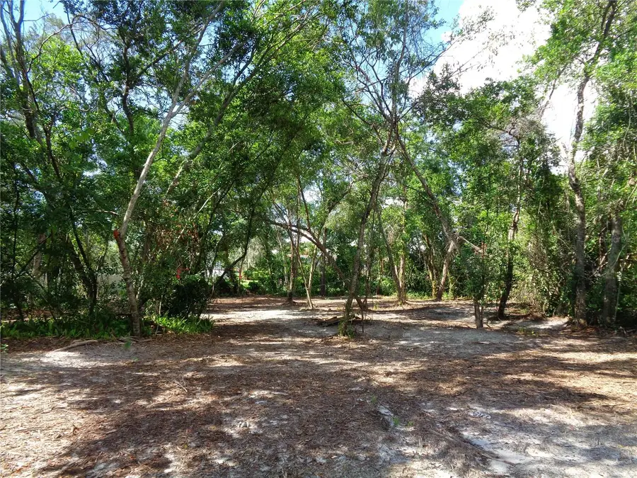 8007 Chaucer Drive, Weeki Wachee, FL 34607 - #3