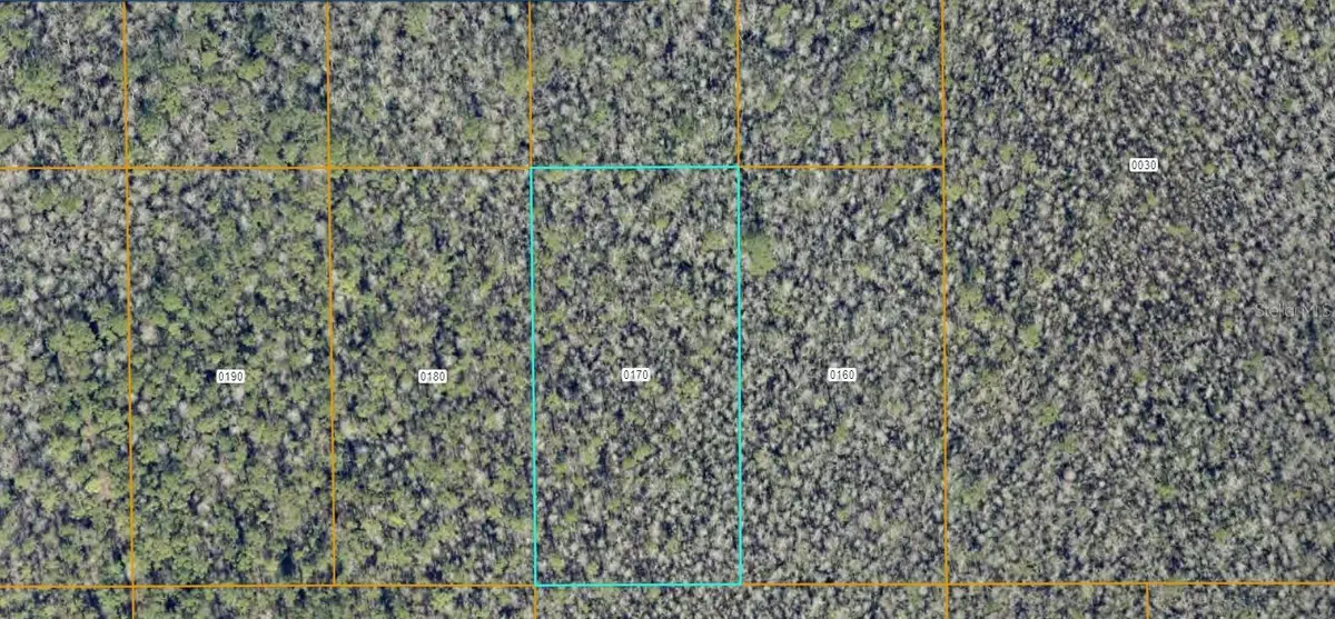 7108-01-03-0170 No Street, Deland, FL 32724 - #1