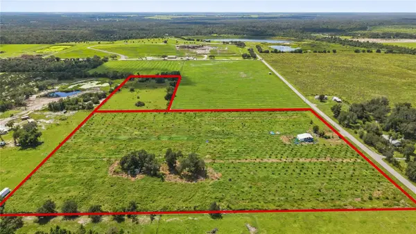 2940 SW Dishong Avenue, ARCADIA, FL 34266