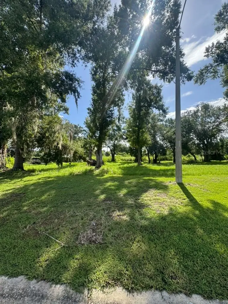 1171 SW Melody Drive, Arcadia, FL 34266 - #3