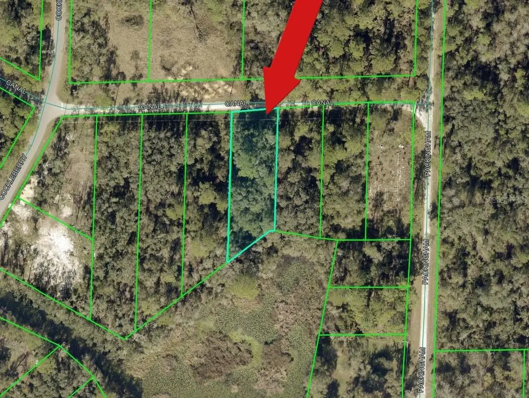 N Canal Street, Webster, FL 33597 - #1