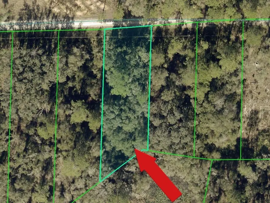 N Canal Street, Webster, FL 33597 - #2